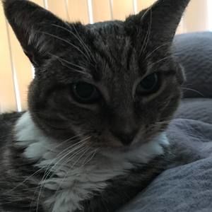 Meet your Posher, Krystal